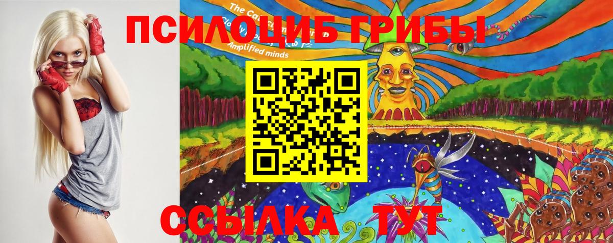 Родники  Галлюциногенные грибы Magic Shrooms  Вход с VPN  Галлюциногенные грибы Psilocybe 